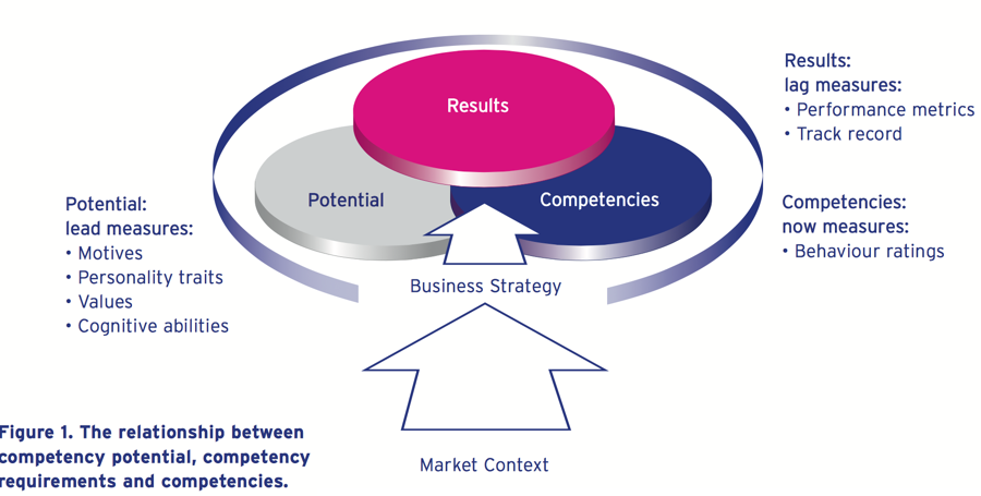 Modelo de Competencias y Potencial para lograr el Desempeño Organizacional  – CORE Building From the Roots